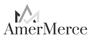 AM AMERMERCE logo