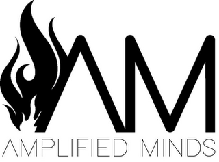 AM AMPLIFIED MINDS logo