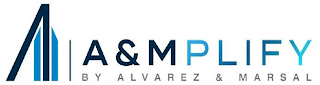 AM A&MPLIFY BY ALVAREZ & MARSAL logo