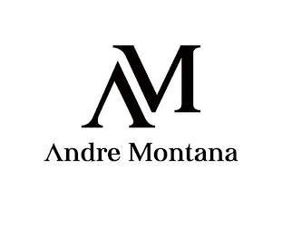 AM ANDRE MONTANA logo