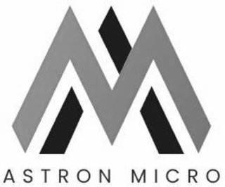 AM ASTRON MICRO logo