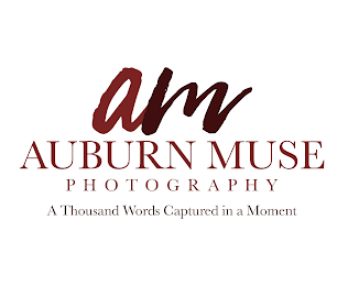 AM AUBURN MUSE PHOTOGRAPHY A THOUSAND WORDS CAPTURED IN A MOMENT logo
