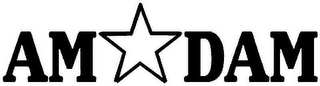 AM DAM logo