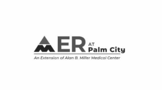 AM ER AT PALM CITY AN EXTENSION OF ALAN B. MILLER MEDICAL CENTER logo
