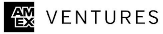 AM EX VENTURES logo