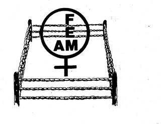 AM FEM logo