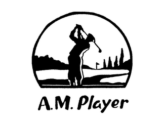 A.M. PLAYER logo