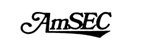 AM SEC logo