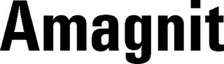 AMAGNIT logo