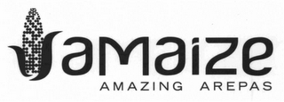 AMAIZE AMAZING AREPAS logo