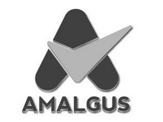 AMALGUS logo