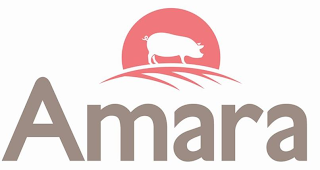 AMARA logo
