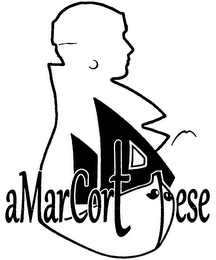 AMARCORTESE logo