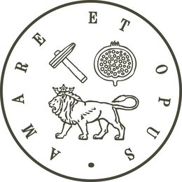 AMARE ET OPUS logo