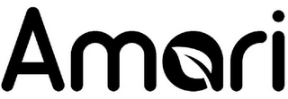 AMARI logo