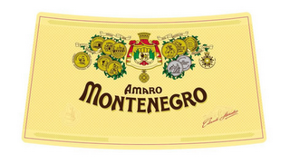 AMARO MONTENEGRO PRAGA 1898 MONDE SELECTION 1971 BRUXELLES LEOPOLD II ROI DES BELGES CONCOURS INTERNATIONAL BRUXELLES 1898 VITTORIO EMANUELE ESPOSIZIONE NAPOLI 1900 1910 BRUXELLES AMSTERDAM 1975 AUSTELLUNG AN TENEGRO URGO 1898 EXP. INTERNATIONAL MARSEILLE 1901 COBIANCHI STANISLAO BOLLITURA MACERAZIONE DISTILLAZIONE logo