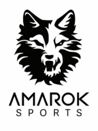 AMAROK SPORTS logo