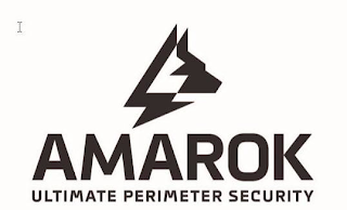 AMAROK ULTIMATE PERIMETER SECURITY logo