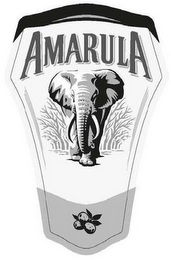 AMARULA logo
