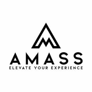 AMASS ELEVATE YOUR EXPERIENCE logo