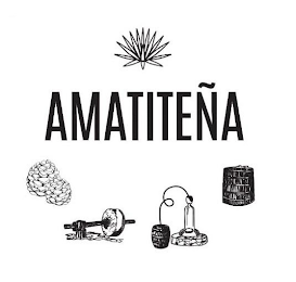 AMATITEÑA logo
