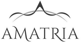 AMATRIA logo