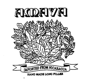 AMAYA IMPORTED FROM NICARAGUA HAND MADE LONG FILLER logo