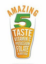AMAZING 5 TASTE VITAMIN C POTASSIUM FOLATE NO ADDED SUGAR logo