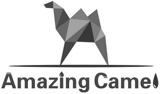 AMAZING CAMEL logo