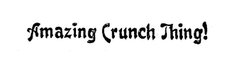 AMAZING CRUNCH THING! logo