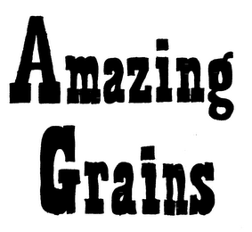 AMAZING GRAINS logo
