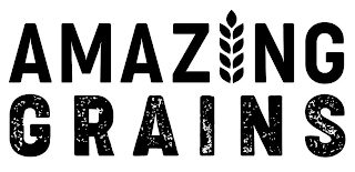 AMAZING GRAINS logo