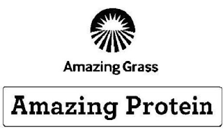 AMAZING GRASS AMAZING PROTEIN logo