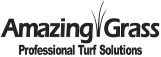 AMAZING GRASS PROFESSIONAL TURF SOLUTIONS logo