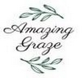 AMAZING GRAZE logo