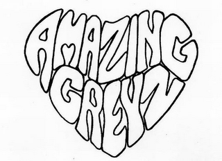 AMAZING GREYZ logo