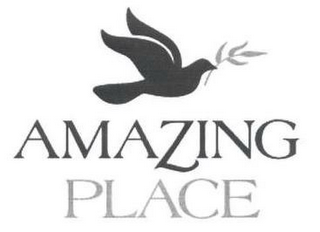 AMAZING PLACE logo