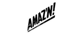 AMAZ'N! logo