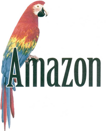 AMAZON logo