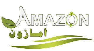 AMAZON logo