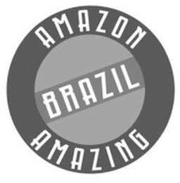 AMAZON AMAZING BRAZIL logo