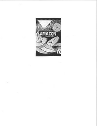 AMAZON BANANA CHIPS logo