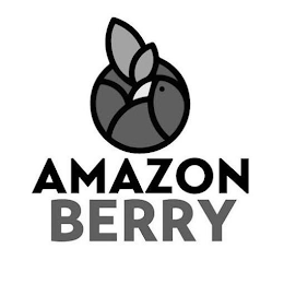 AMAZON BERRY logo