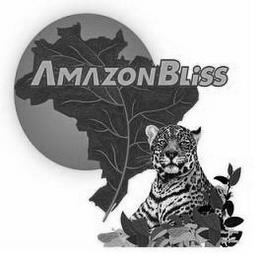 AMAZON BLISS logo