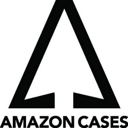 AMAZON CASES logo