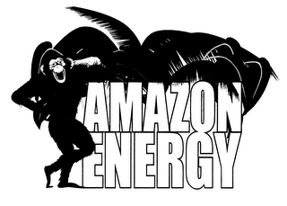 AMAZON ENERGY logo