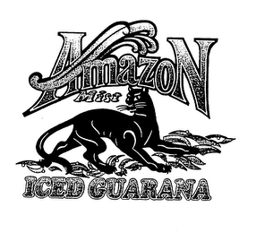 AMAZON MIST ICED GUARANA