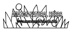 AMAZON NATURAL HERBS WWW.AMAZONNATURALHERBS.COM logo