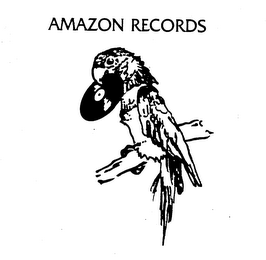 AMAZON RECORDS logo