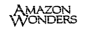 AMAZON WONDERS logo